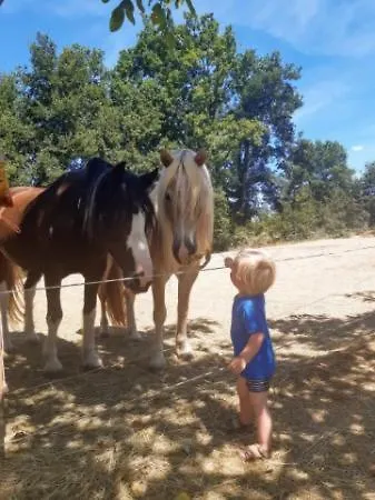 Couette-café Namaste Montcléra